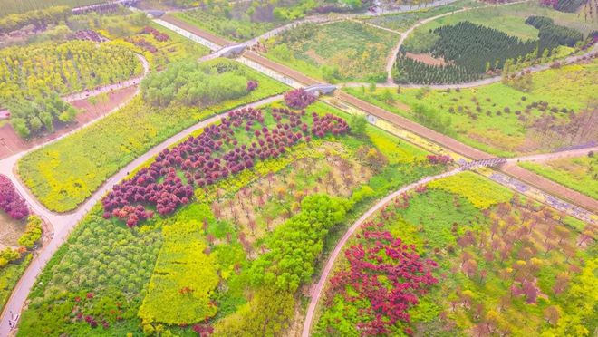 b体育app下载官网惊艳！宿州植物园航拍高清组图流出……(图6)