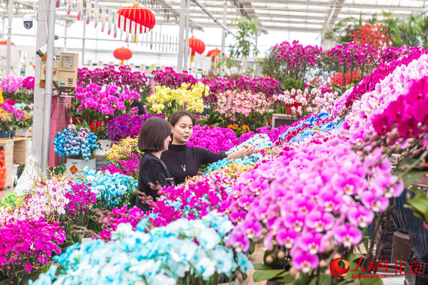 b体育app下载官网为首都花园城市添“花样”(图1)